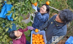 [해외 애그리테크] 일본 AI로 농업기술 전수한다
