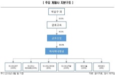 ‘IDT 희(喜)소식’ 아시아나항공, 자력 부활 가능할까