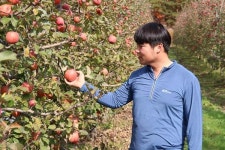 [강레오 셰프가 찾은 산지의 맛] 배창원 농부의 경북 의성 옥산 사과