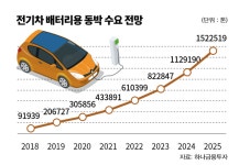 [변화를 주목하라] SK 전기차 배터리 ‘제2의 반도체 되나’