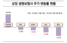 미래에셋생명, 생보사 주가하락 속 나홀로 14% 상승