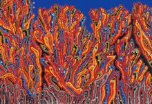 [2012년]화가 윤종득①‥독특함의 내재