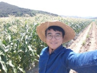 [김재훈의 건강한 식탁] 여름철 별미 초당옥수수 이야기