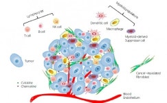 IPO 앞둔 메드팩토, 항암 신약 개발 새바람 몰고온다