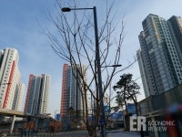 [르포] 먹잇감 찾는 투자자, 평택 고덕 찜...반전 아직