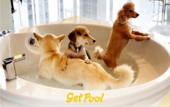 탐앤탐스, ‘유기동물협회’와 MOU…반려동물 복지 증진 나서