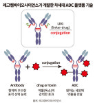 바이오시밀러 다음 주자 레고켐바이오 ‘ADC’ 주목