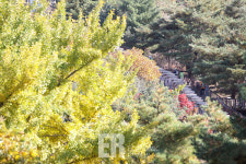 [다녀왔습니다!] 대중교통을 이용해 가본 52년 만에 열린 북악산 북측길