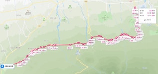 [ER궁금증] 타타대우 노부스, 제주서 못 멈춘 이유는?