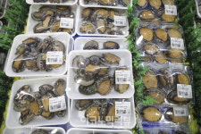 [ER 포토] 전복 한마리에 900원...롯데마트 가보니?