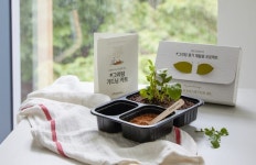 현대그린푸드 케어식단 구매하면 그리팅 가드닝 키트 드려요