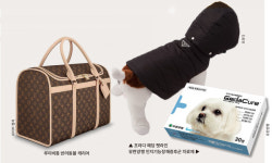 [펫코노미2021①] 또 하나의 가족, 펫금융도 뜬다