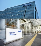 삼성생명·화재, 자회사 GA '금감원 특별관리' 암초 만났다