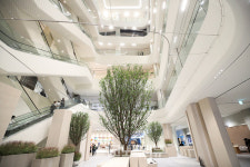 [Story포토] MZ세대 동탄맘이 좋아하는 요소들만 한가득! 동탄 롯데百 가보니...