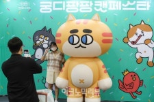 [ER 포토] 고양이와 집사를 위한 축제...'궁디팡팡 캣페스타'