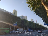 [르포]예비안전진단 한 달...노원 중계그린은 지금
