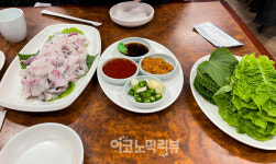 [Story 포토] 내돈 내산 신행 제주도 맛집투어