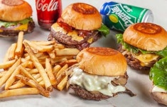 허니푸드바이오프로테크점 | 바이오 푸드테크 기업 '힘난다', 10억원 투자 유치