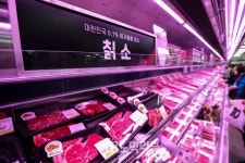 [Story포토] 마트에 아쿠아리움 수족관이? 확 변한 롯데마트