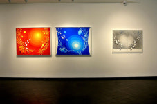 [전시현장] 서양화가 서경자 개인전, 2월16~3월1일, 갤러리 이즈