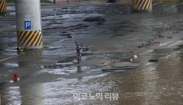 [ER포토]범람한 탄천에 발길 돌리는 자전거 라이더
