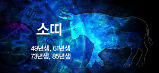 양띠 두 마리의 토끼를 잡으려다 둘 다 놓치는 격, 원숭이띠 최선을 다하여 노력을 기울였는데 실패의 쓴잔을 마신다 [일요일 띠별 운세]