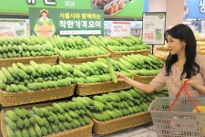 롯데마트, 장바구니 부담 없는 착한 가격 오이 판매...물가 안정 기여
