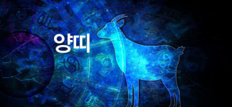 뱀띠 하늘의 뜻, 말띠 나가지 마라 [토요일 띠별 운세]