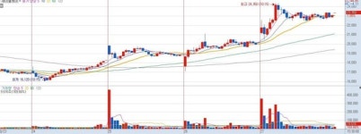 건보 수가 적용 첫 결정에 제이엘케이 등 의료AI  관련주↑...이유 있는 급등?