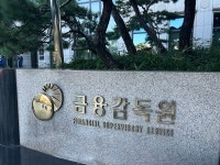 금감원 올해 증권사 금융사고 급증...사고 예방·보고 체계 전면 재검토
