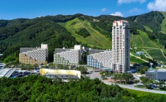 2주간의 특별한 선물…휘닉스 파크, 슈퍼딜 기획전