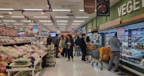 사과 이어 방울토마토도 金값됐다…수입 과일 가격은↓