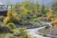 [피서 명소-국립수목원 3] 국립백두대간수목원엔 백두산 호랑이가 산다