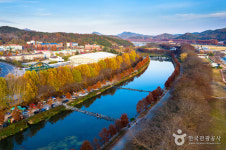 [오매, 단풍 들것네!] 2km 넘는 풍치림 단풍...담양 관방제림(3/5)