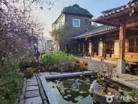 한옥이 돋보이는 전국 박물관 명소 4곳 [박물관은 거인의 어깨]