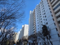 건설업계 치열한 수주 경쟁② 한남4 격전 끝낸 삼성·현대, 개포주공 재건축에서 다시 맞붙다