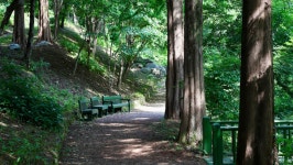 [ER여행] 숨 막힌 도시 탈출… 여름 정원서 찾는 쉼표 5선