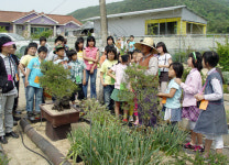 천북 화산리 야생화농장 어린이 체험교육장 각광