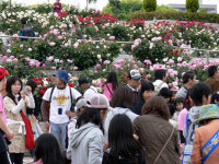 장미공원·유적지 … 가는 곳마다 화기애애