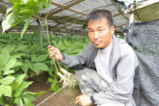 예천 학삼 고소득 작목 각광