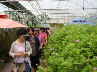 포항시 농촌현장체험 교육 인기