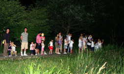 반딧불이 날려요 영양군 27일 밤 체험행사