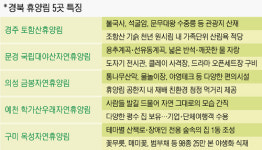 웰빙 휴식공간, 휴양림으로!