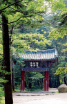 일상의 번뇌들, 청암사에 비우니…