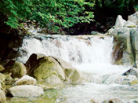 일상의 번뇌들, 청암사에 비우니…