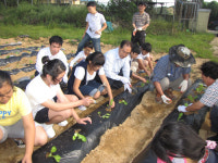 사랑으로 텃밭 가꿔요
