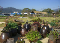 칠곡들풀사랑회, 야생화 전시회