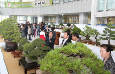 오랜 세월 가꿔온 나무 예술