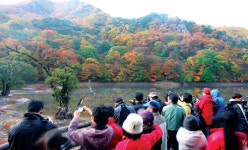 불국사·주산지·청량산… 단풍 관광은 경북으로