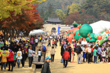 문경사과축제 경제효과 200억